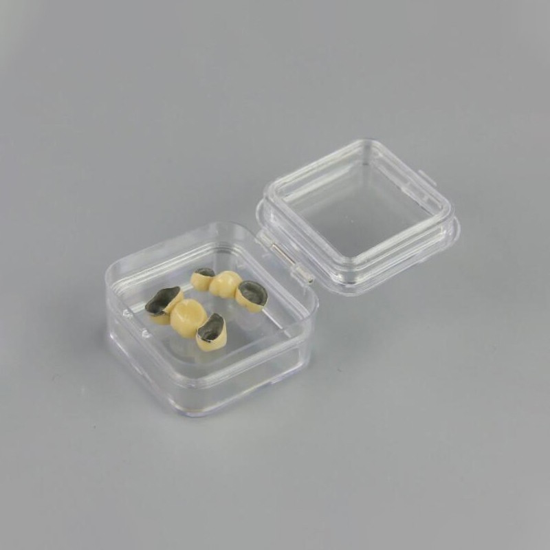 Denture Storage Box Plastic denture Tooth Boxes Membrane Tooth Clear Display
