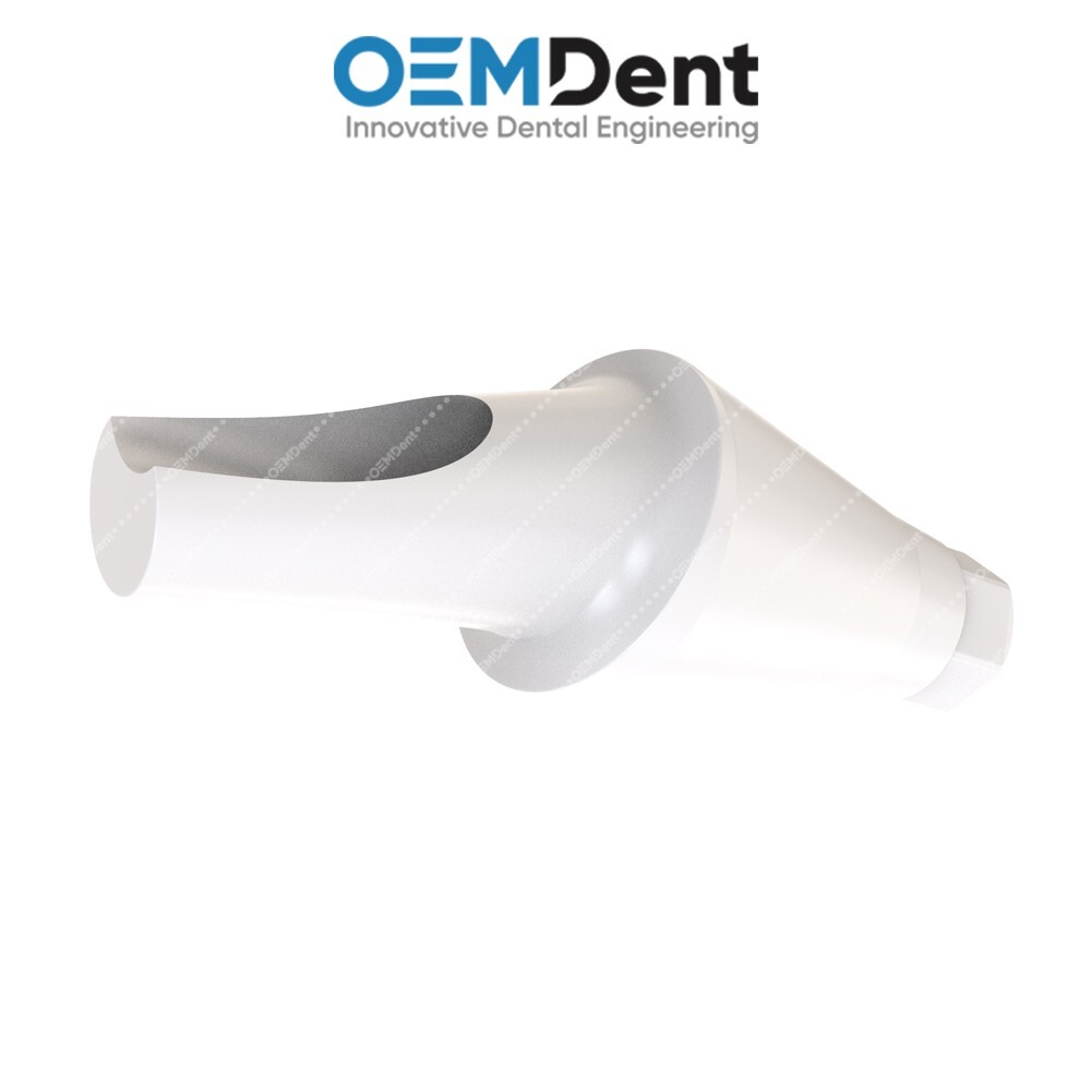 Peek Temporary Anatomic Angled Prosthetics 15° Compatible DSI® RP Conical