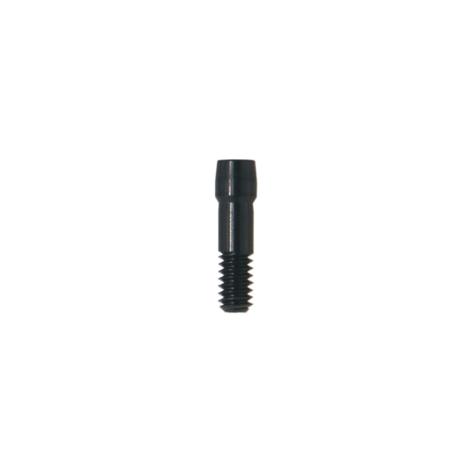 Dental Anatomic Angulated Abutment 17° Osstem TS / Hiossen ET Regular Platform