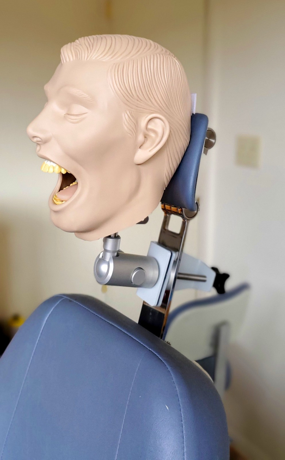 Dental Teeth X-Ray MANIKIN Practice Exam Simulator Training Model Teach Phantom