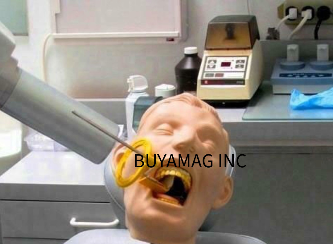 Dental Teeth X-Ray MANIKIN Practice Exam Adult Simulator Training Phantom