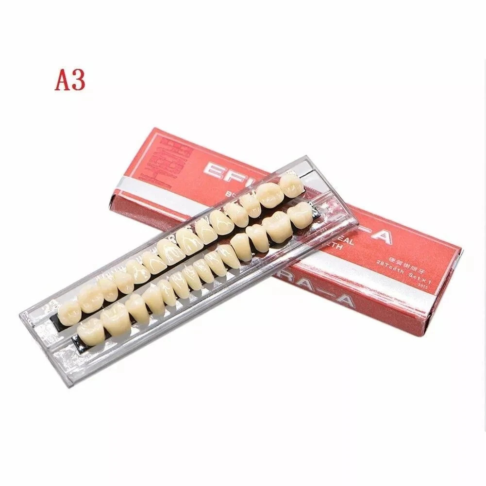 28Pcs A2+28Pcs A3 False Teeth Dental Acrylic Resin Denture Teeth #23 Shade