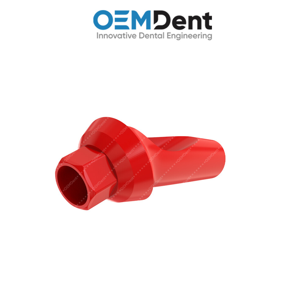 Angulated Anatomic Castable Prosthetic 25° – Paltop® Int Hex 2.42mm Compatible