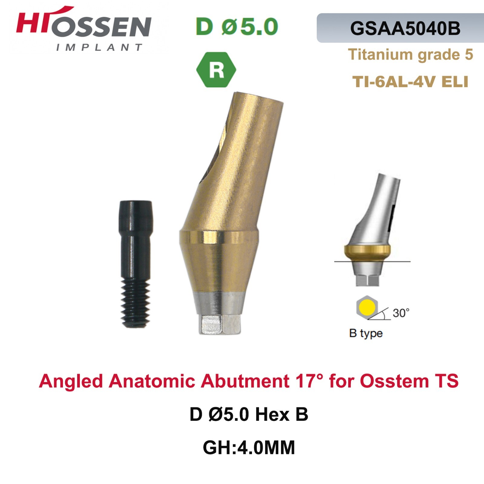 1X Fit Mini/Regular Angled Anatomic Abutment 17° Ti Dental Osstem/TS Hiossen/ET