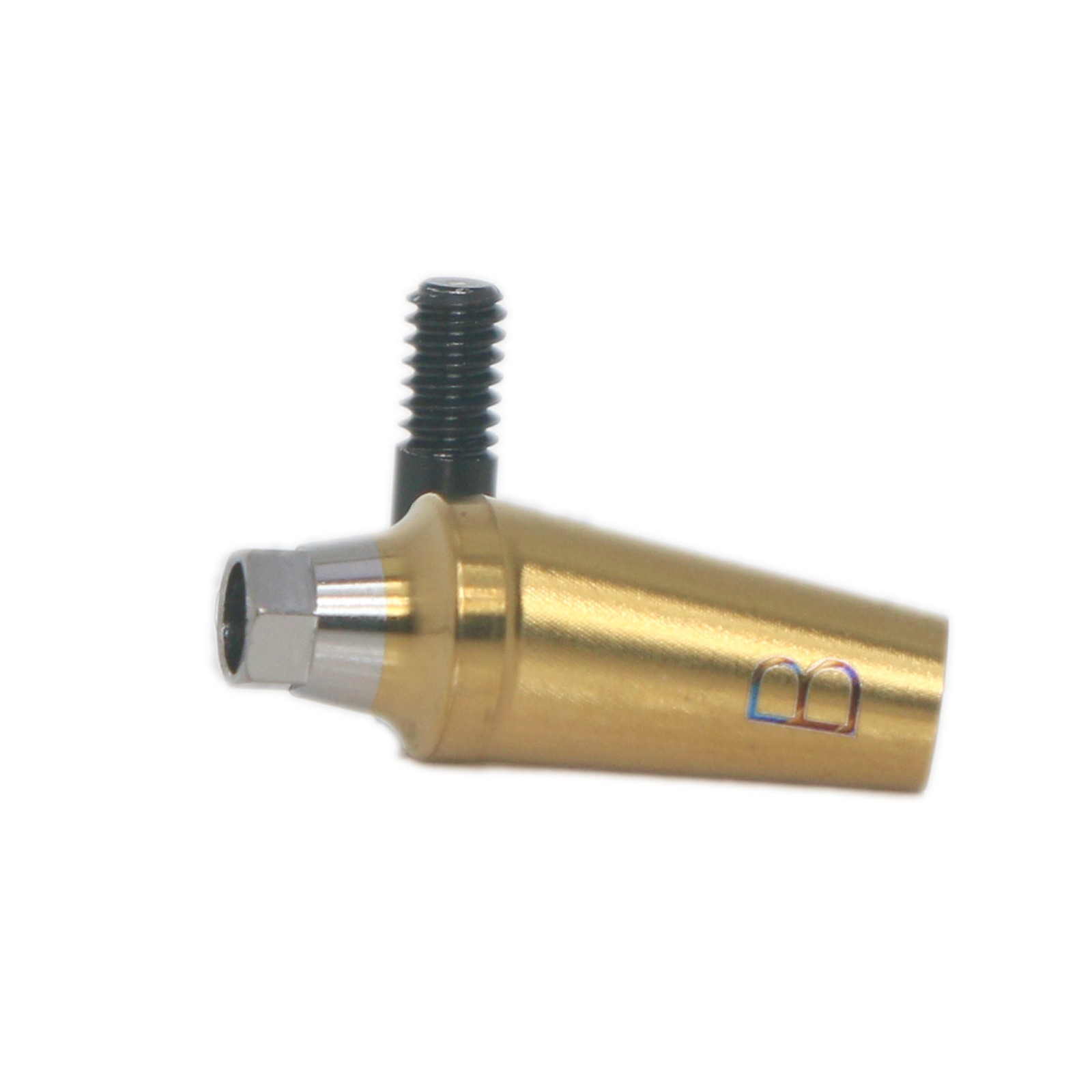 Dental 17° Angled Abutment Anatomic Fits Hiossen Osstem TS Hex Regular Platform