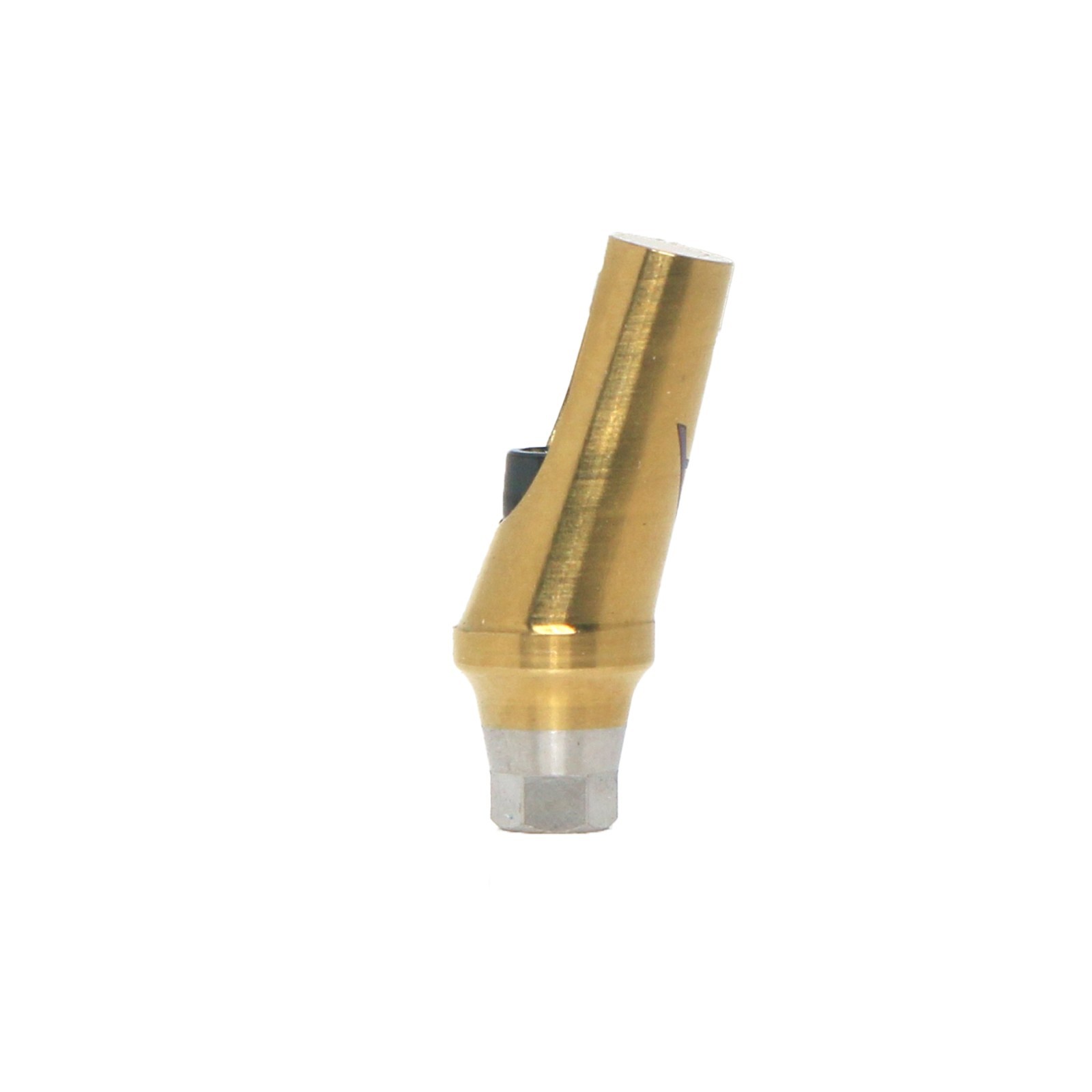 US 17° Dental Angled Anatomic Abutment Hex Compatible with Hiossen ET/Osstem TS