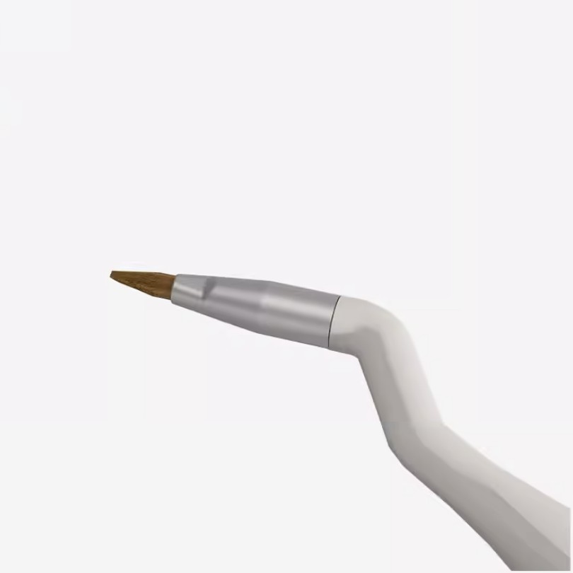 Dental Gingival Brush Resin for Clinical Restoration Brushes with Micro Heads