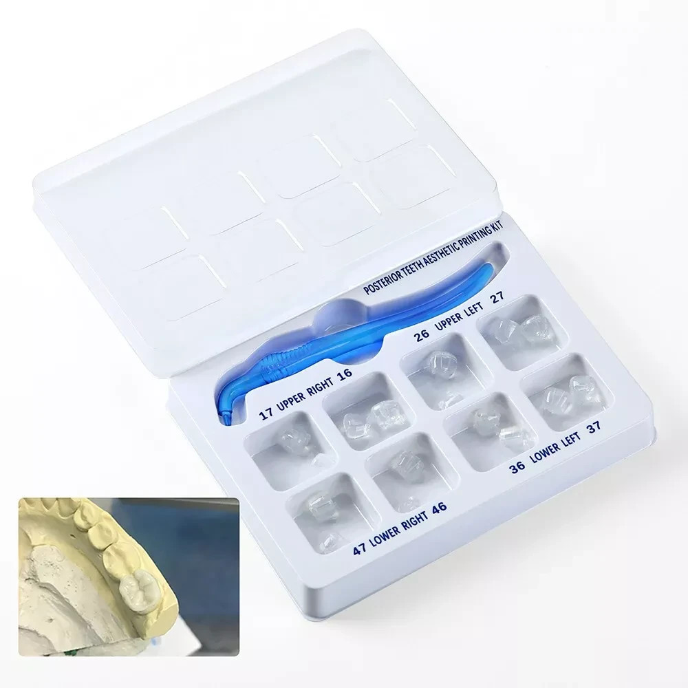 Dental Veneer Mould Composite Resin Anterior Posterior Teeth Molar Restoration