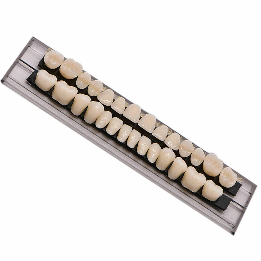 28 Pcs/Set Dental A2 A3 Acrylic Resin Denture Shade Full Set False Teeth #23