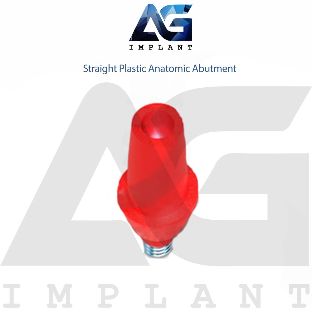 10 Straight Plastic Anatomic Prosthetic System Casting Int Hexagon 2.42mm