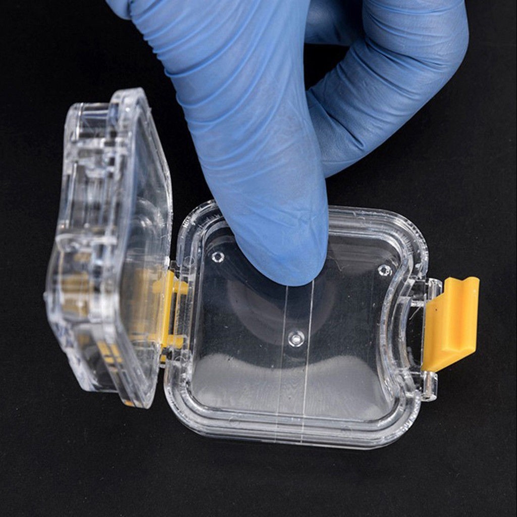 10 Pcs Dental Teeth Small Storage Crown-keeping Box With Membrane Flexible Film