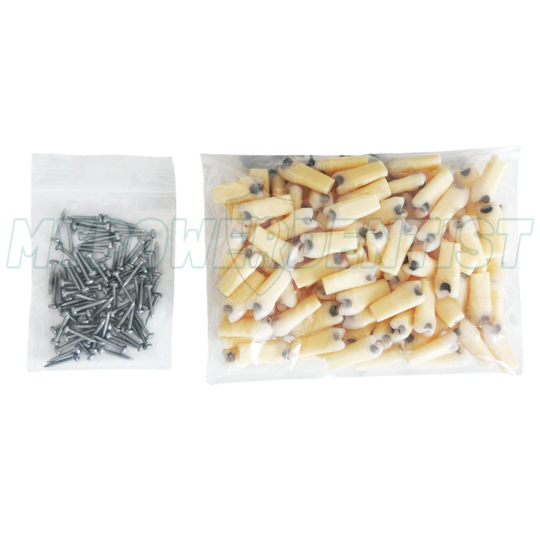 Dental Cavity Teeth Model Tooth Teaching Caries 25# Compatible Frasaco AG-3