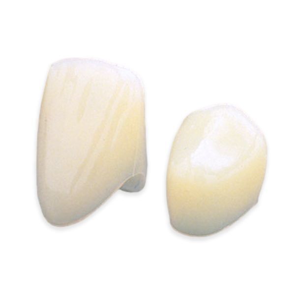 House Brand #66 Lower Anterior (Short) Polycarbonate Crown Form, Box of 5 Crown