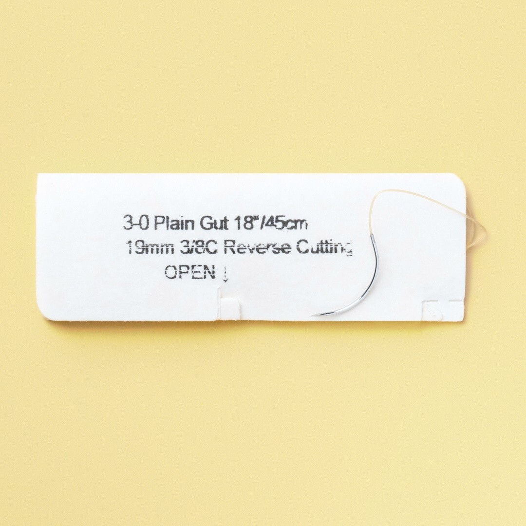 *12-Pieces* Look Plain Gut 19″ C6 Reverse Cutting Absorbable 592B