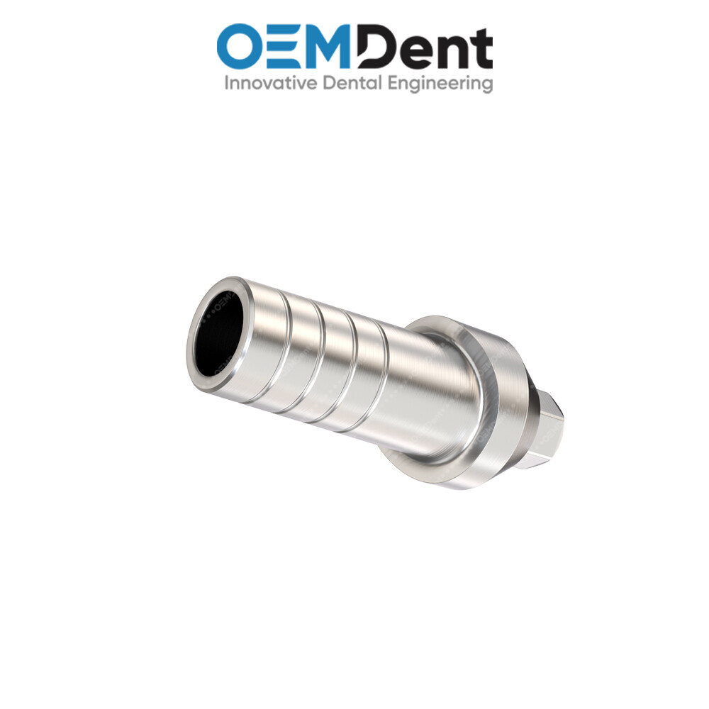 Straight Anatomic Prosthetic – Paltop® Int Hex 2.42mm Compatible