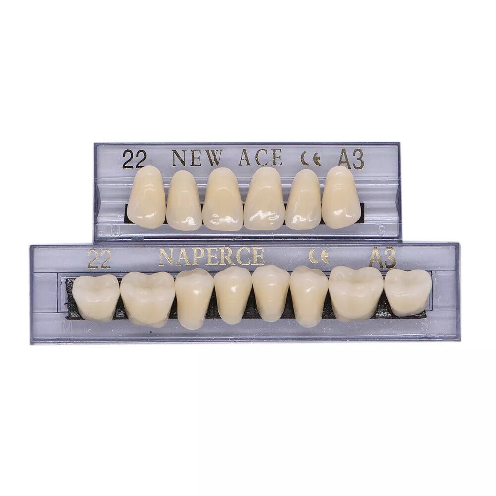 168X Acrylic Resin A1/A2/A3 Dental Denture Teeth Upper Lower Shade 22/23/24# US