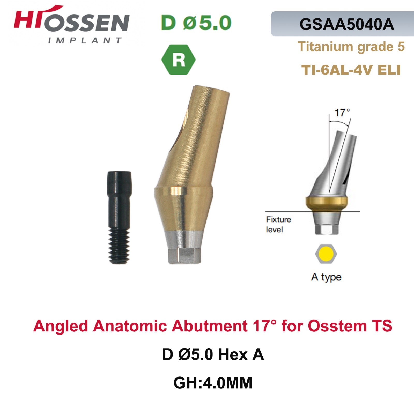 1X Fit Mini/Regular Angled Anatomic Abutment 17° Ti Dental Osstem/TS Hiossen/ET