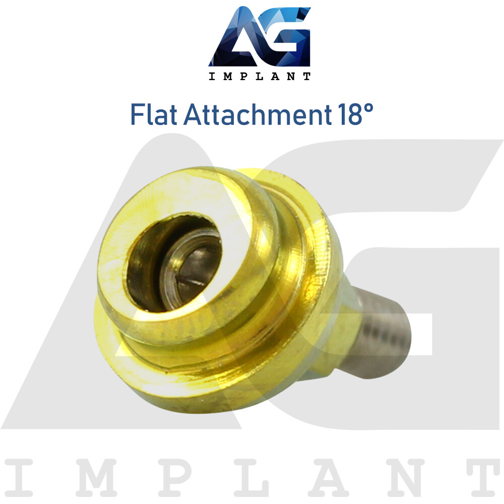 Angled 18° Flat Attachment Standard Silicone Set Titanium Int Hex 2.42mm