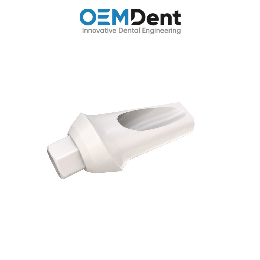 Peek Temporary Anatomic Angled Prosthetic 25° – Alfa Gate® Int Hex Compatible