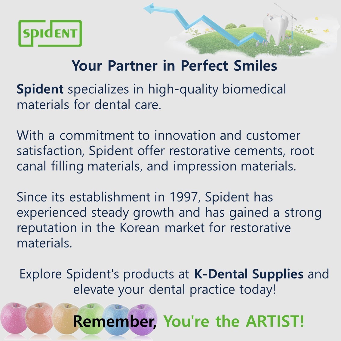 Spident EsFlow Dental Light Cured Flowable Composite 2g x 2ea