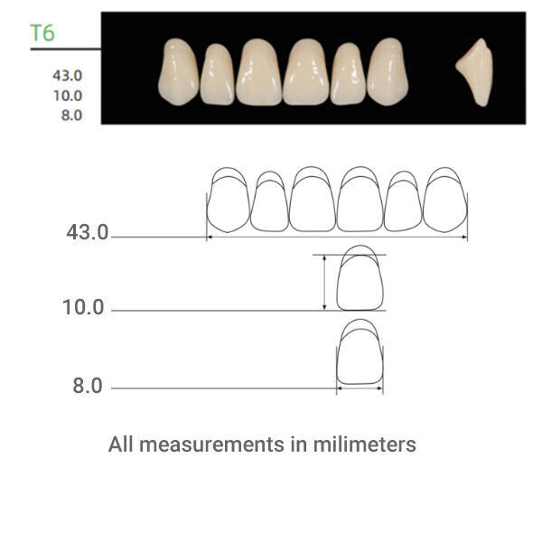 Huge Kaili Synthetic Polymer Teeth Upper Anterior Shade A2 Full Box 16sets/6pcs