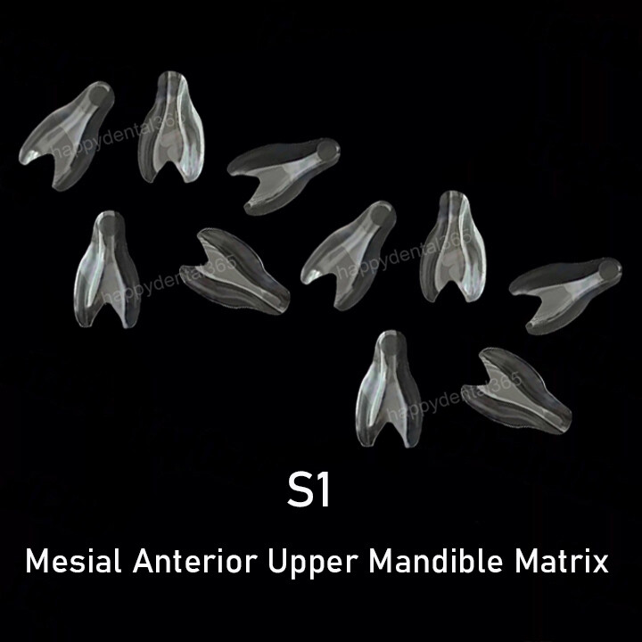 Clear Matrix Dental Anterior Posterior Transparent BT Matrices Fit BioClear