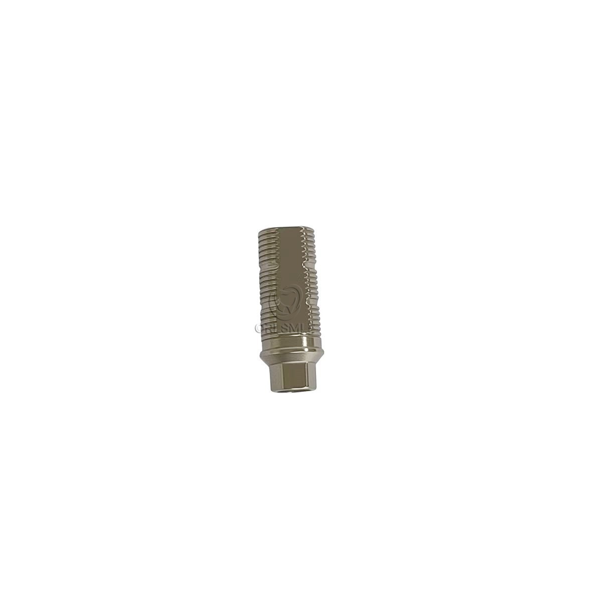5 pcs Ti-base Abutment CAD/CAM ti base compatible with BEGO
