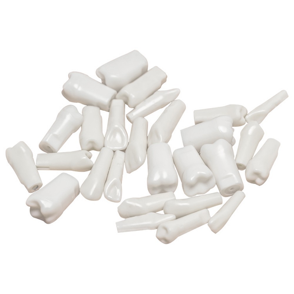 28Pcs Tooth Granule Set Dental Typodont Replacement Screw-in Teeth Model