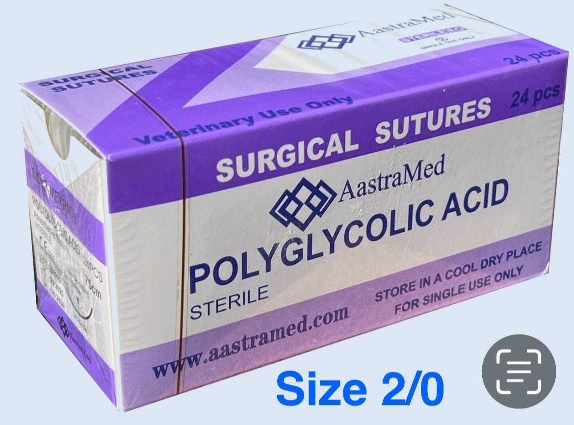 PGA Suture 2/0 Polyglycolic Acid 24ct Veterinary Dental Surgery Medical Training