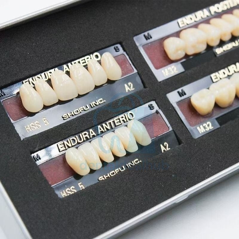 Shofu Endura Composite Resin Teeth Set – Anterior & Posterior Denture Teeth Kit