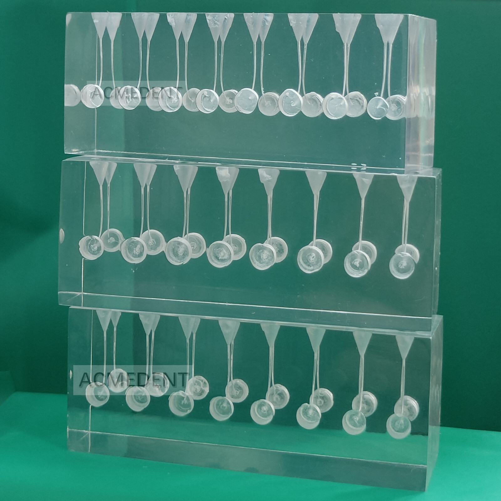 1Piece Dental Endo Files Practise Blocks RCT Block 16-Root Canal Sixteen IN ONE