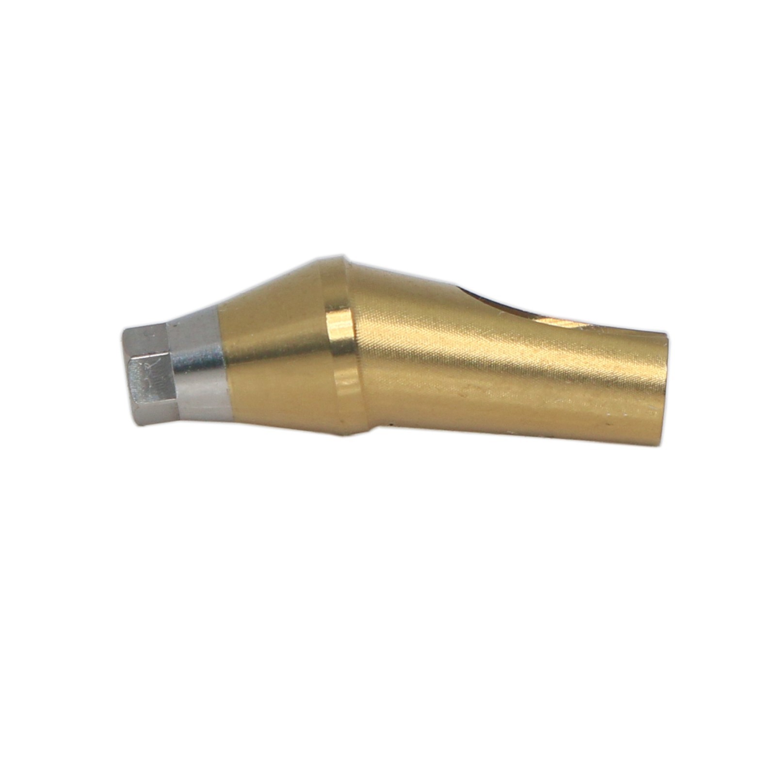 Dental 17° Angled Anatomic Abutment Regular Fits Hiossen Osstem Ø5.0mm Platform