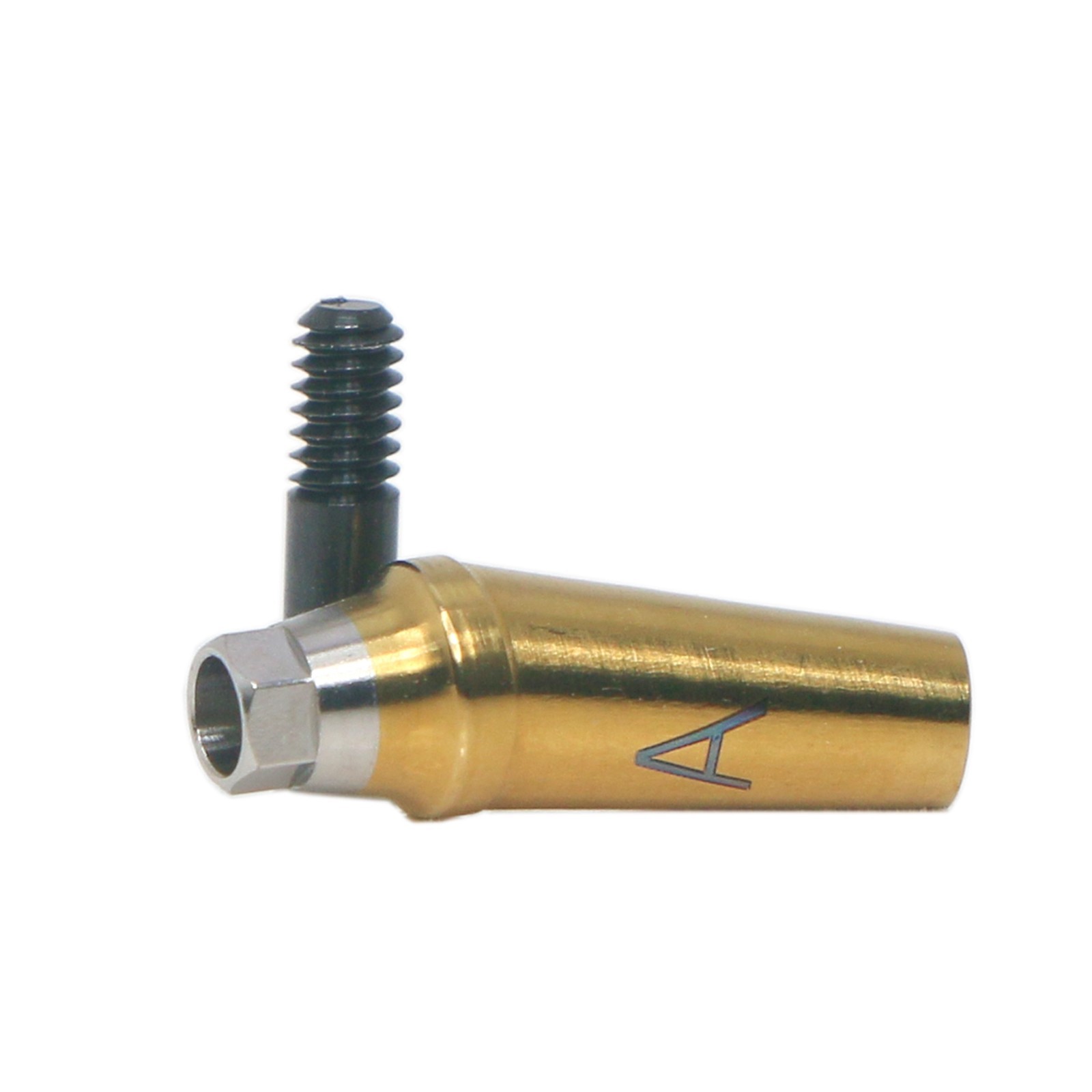 17° Angled Anatomic Abutment Regular Fits Hiossen Osstem TS Ø4.5/5.0mm Platform