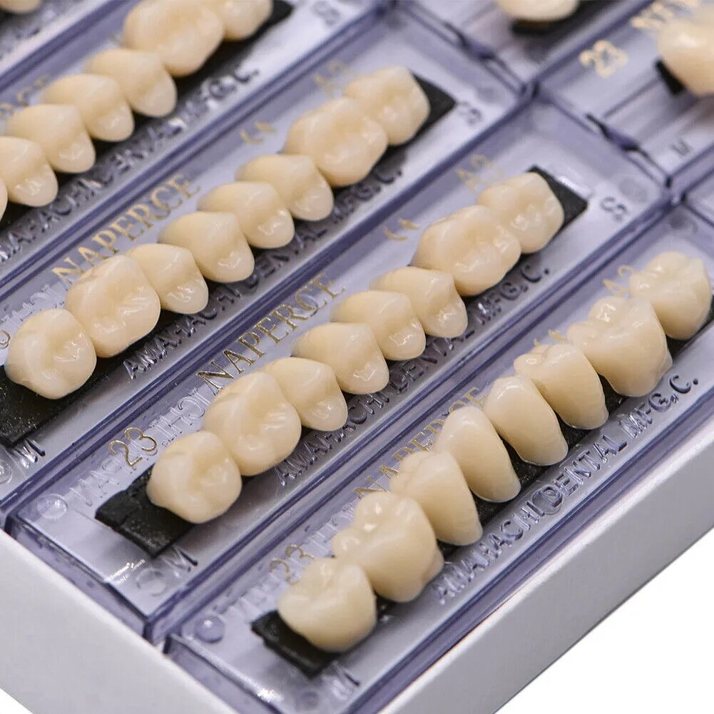 168X Acrylic Resin A1/A2/A3 Dental Denture Teeth Upper Lower Shade 22/23/24# US