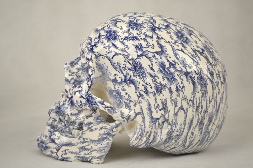 High Degree Emulation 1:1 Skull Art Replica, 2-part, Life Size-Art Pattern China