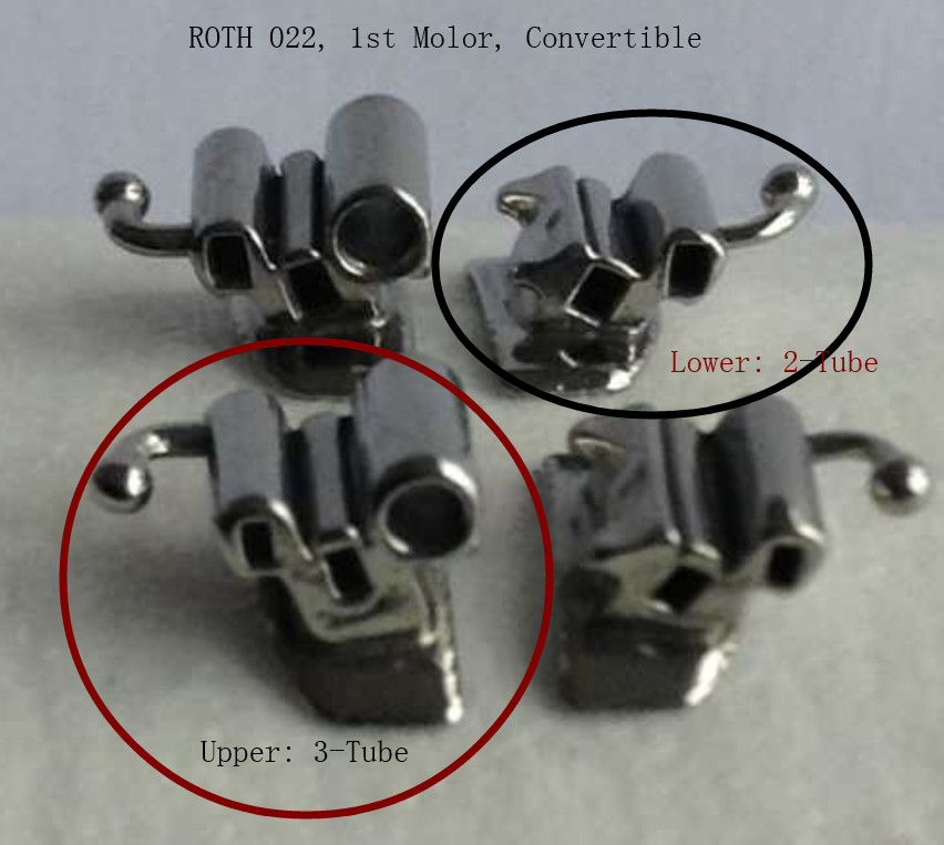 Dental Convertible Buccal Tubes Single Double Triple Ortho 1st Molor MBT/Roth