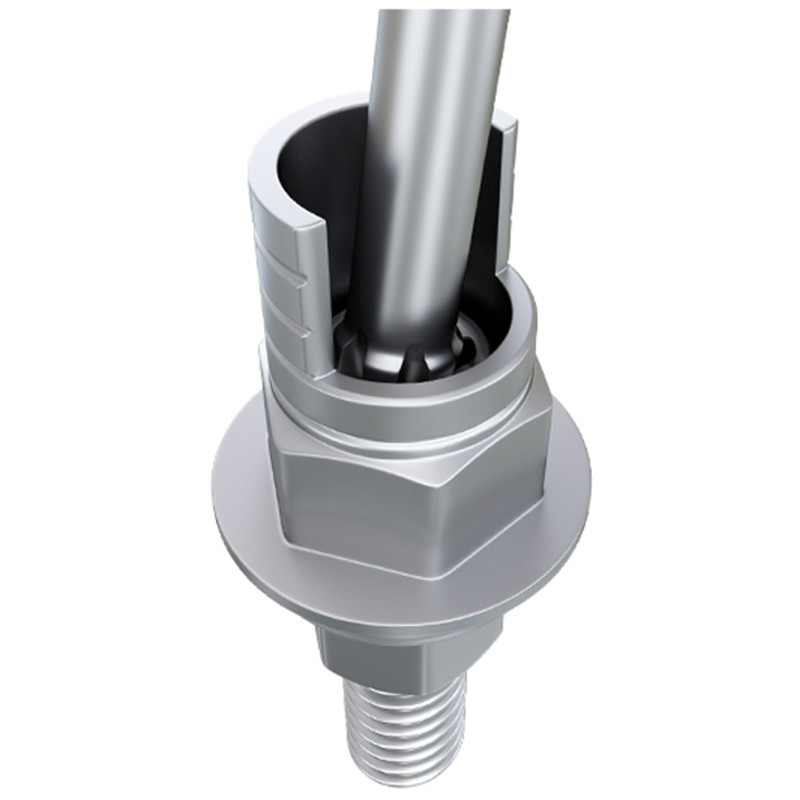 5x Angulated Anti Rotational Ti-Base Cad/Cam Prosthetic Int Hex 2.42 Library