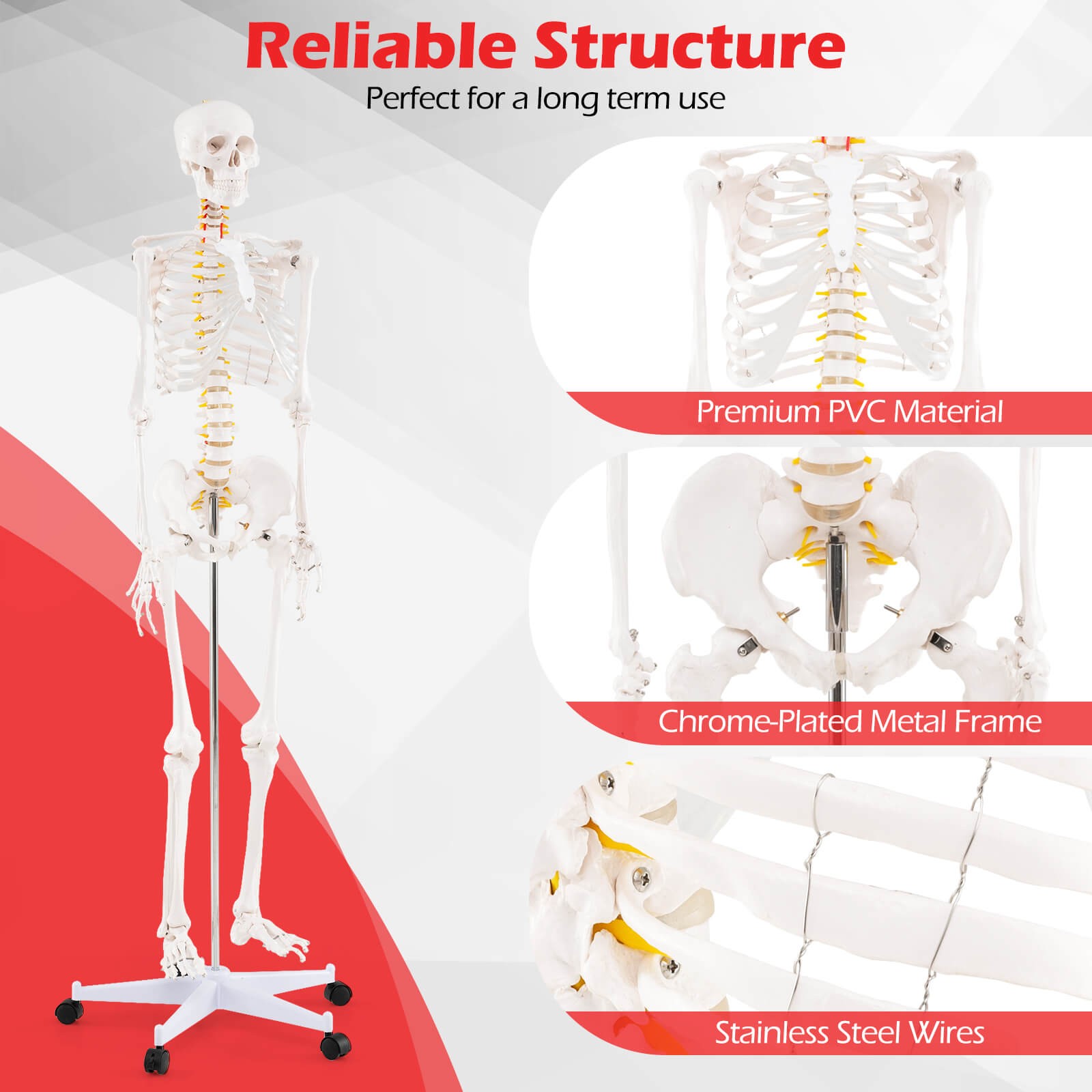 70.8″ Life-size Skeleton Model Medical School Human Anatomy W/Rolling Stand