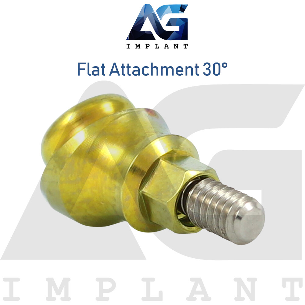 Angled 30° Flat Attachment Standard Silicone Set Titanium Internal Hex