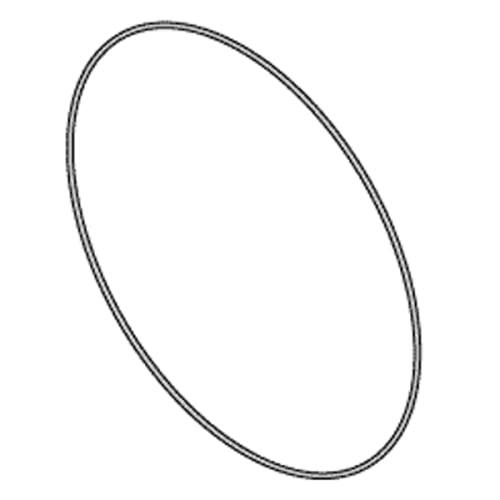 RPI Sterrad 100S Chamber/Door Seal, Single Seal #22-00537-388