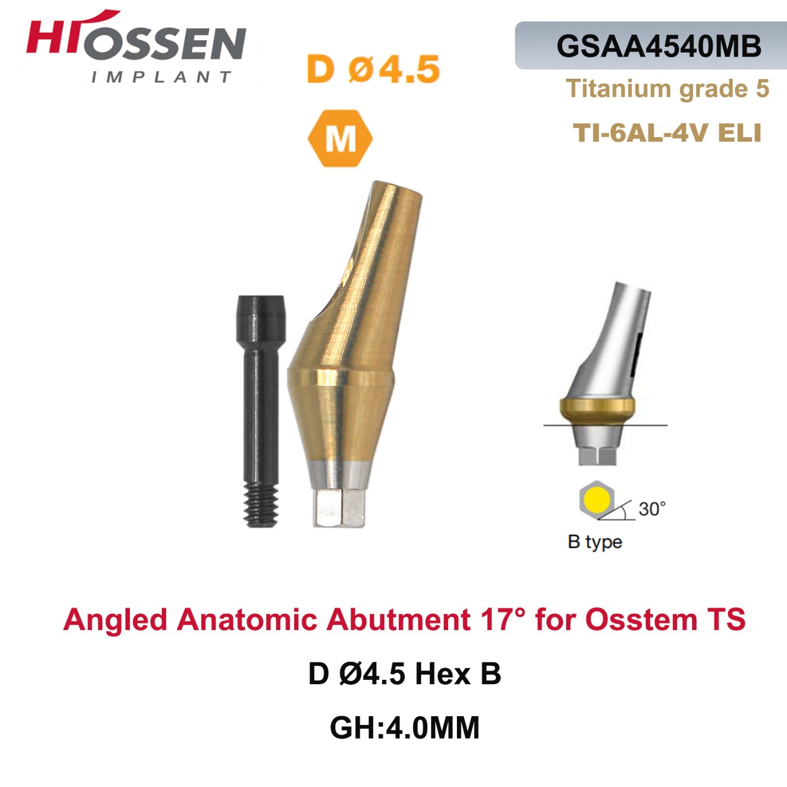 1X Fit Mini/Regular Angled Anatomic Abutment 17° Ti Dental Osstem/TS Hiossen/ET