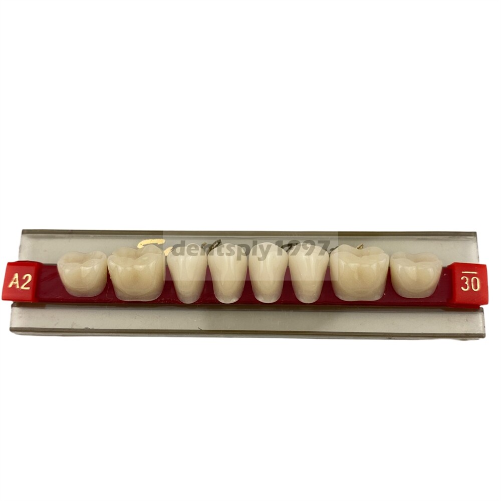 12sets Dental Acrylic Resin Denture Two Layer Posterior False Teeth Upper/Lower
