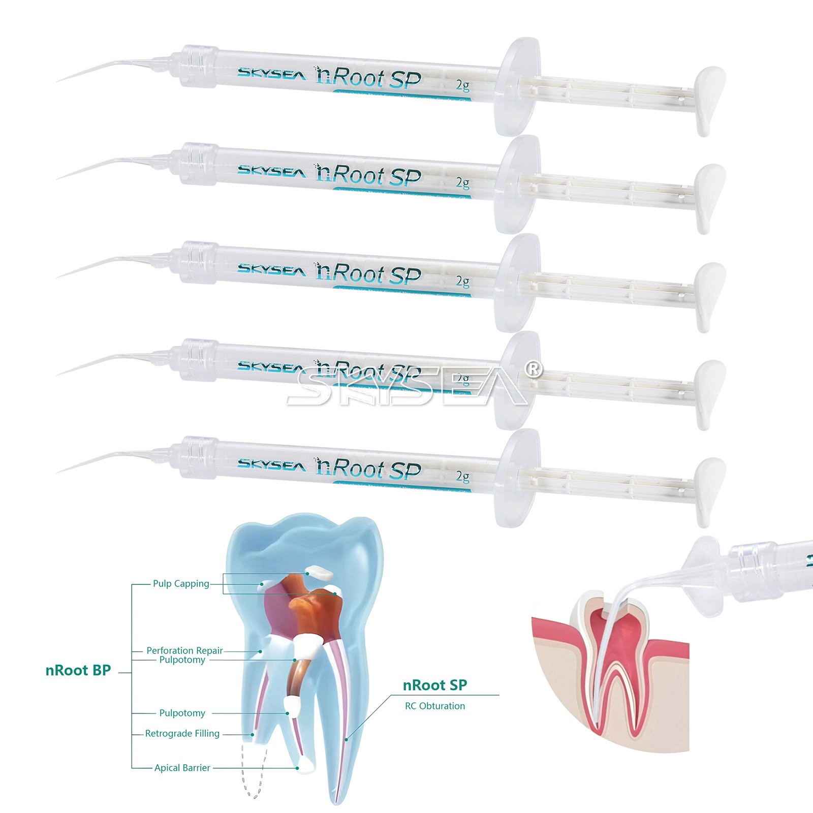 Dental Root canal bioceramic sealer/Repair Root Canal Endo Filling Cement 2g ns