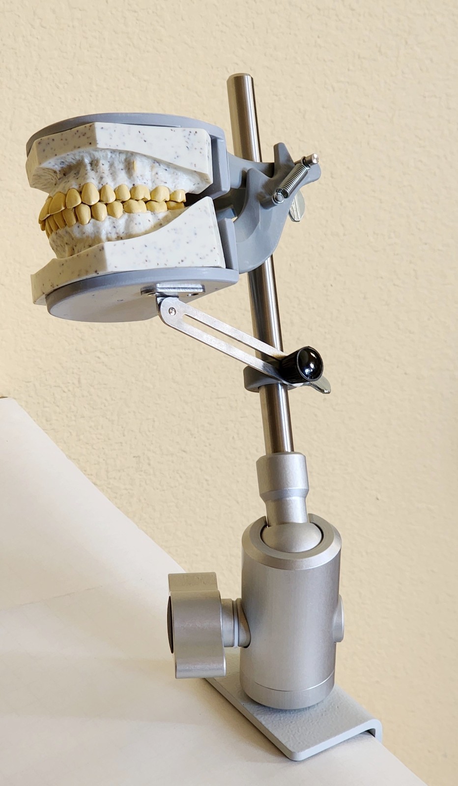 Dental Teeth X-Ray MANIKIN Practice Oral Exam Simulator Training Model Phantom