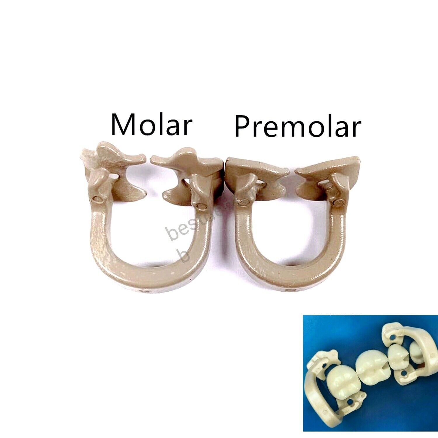 2Pieces Dental Rubber Dam Clamps Clip Barrier Resin Premolar Sheets Clamp Ring