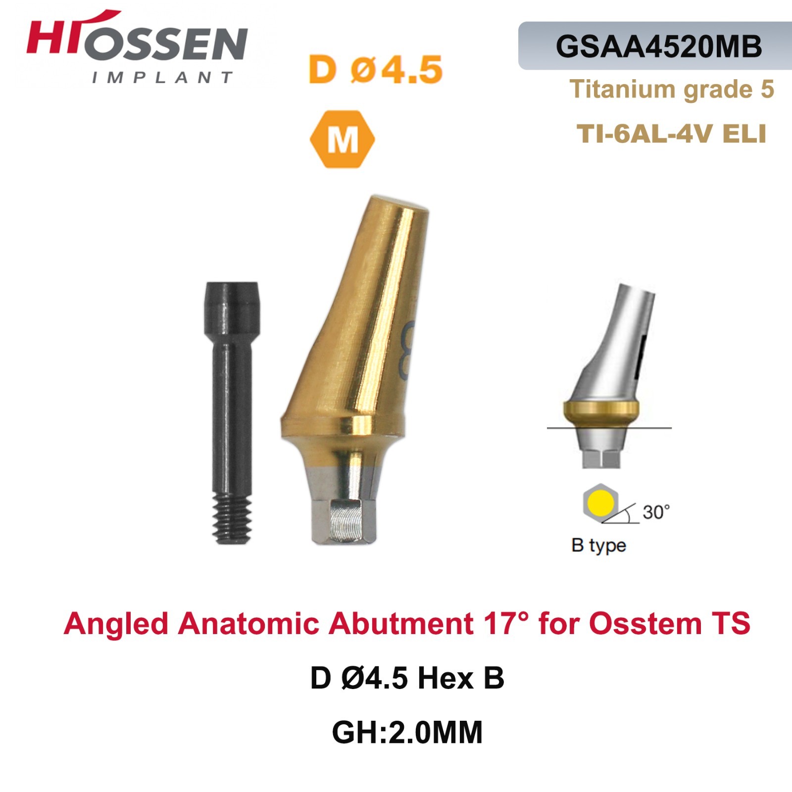 1X Fit Mini/Regular Angled Anatomic Abutment 17° Ti Dental Osstem/TS Hiossen/ET