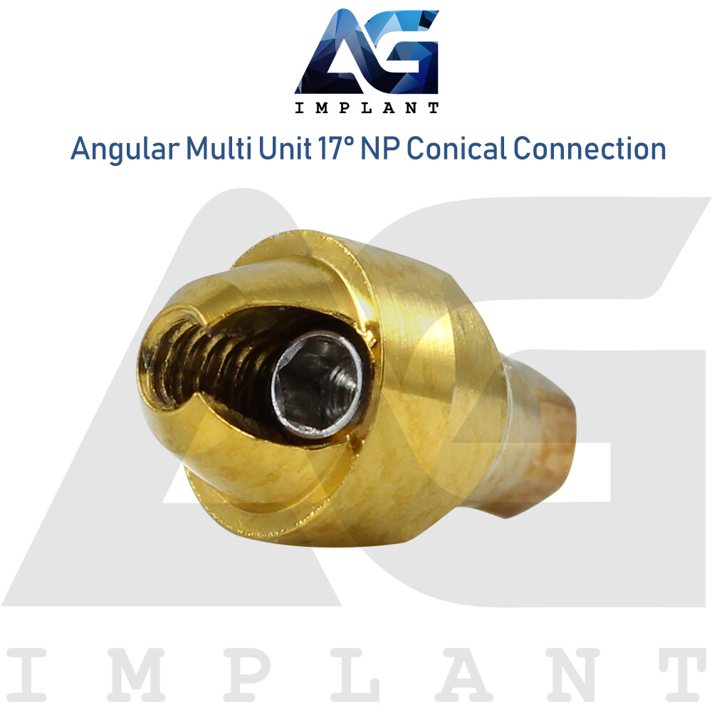 5 Angular Multi Unit Prosthetic 17° Conical Connection NP Plastic Set