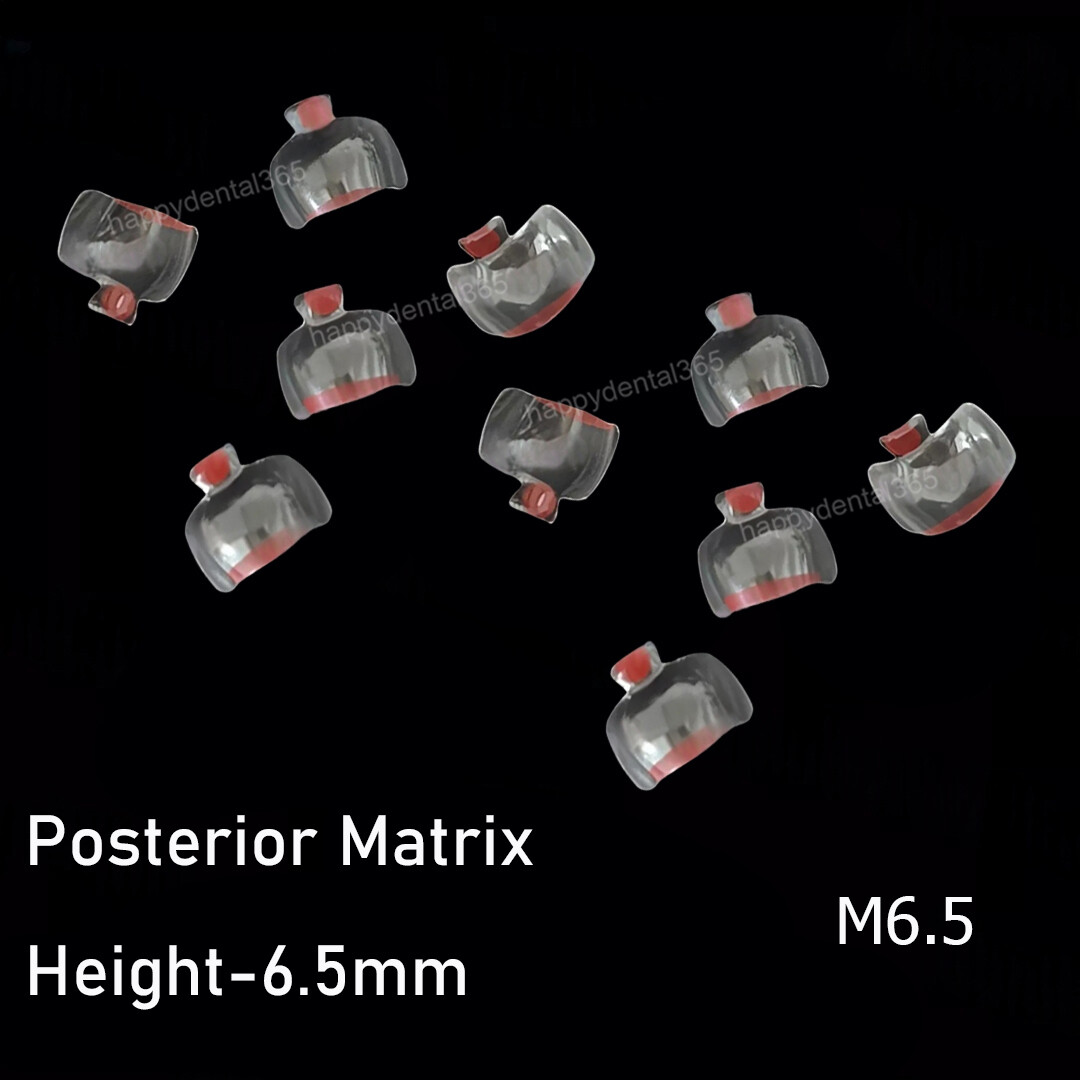 Clear Matrix Dental Anterior Posterior Transparent BT Matrices Fit BioClear