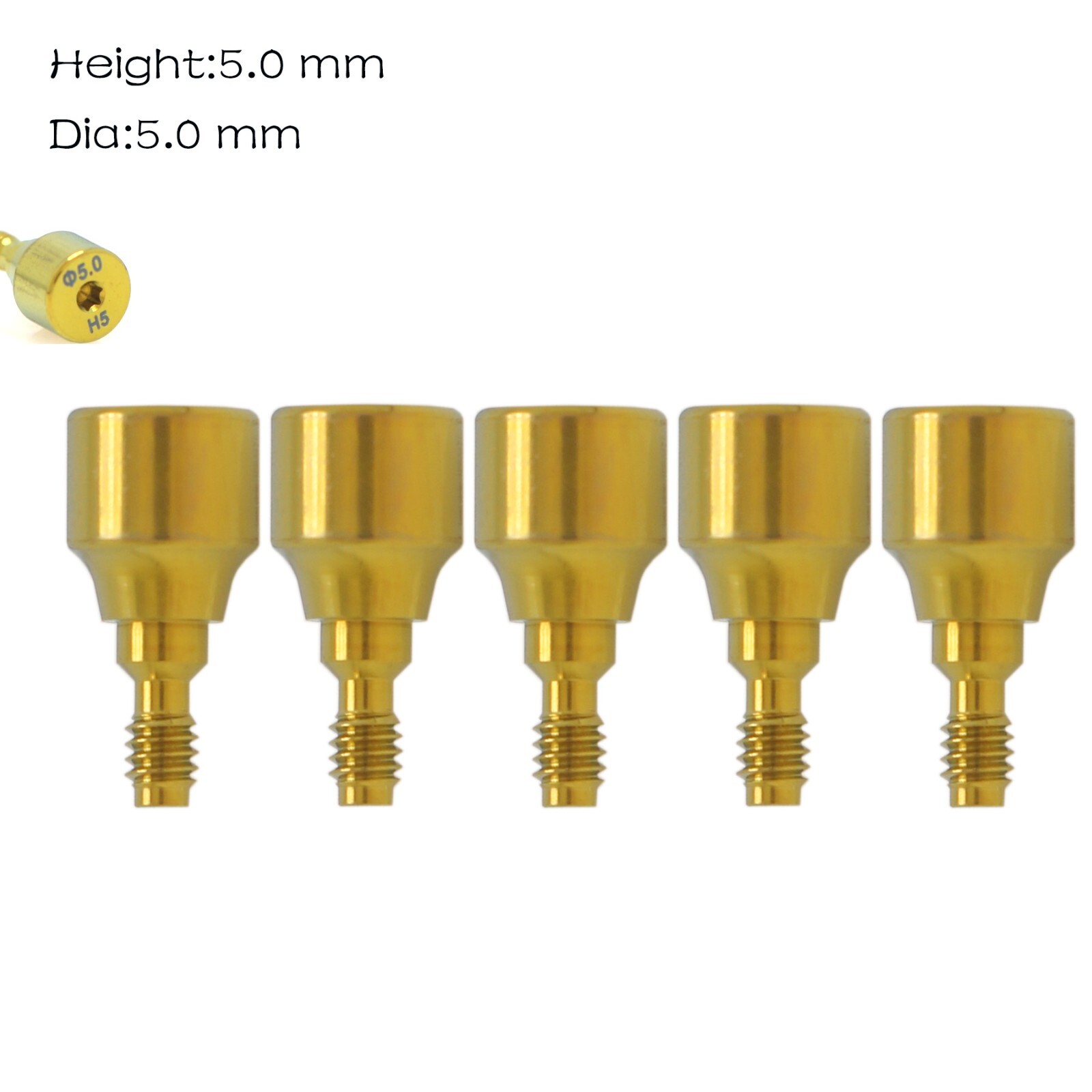 5Pcs US Dental Healing Abutment Cap NP/RP Internal conical Fits Nobel Biocare