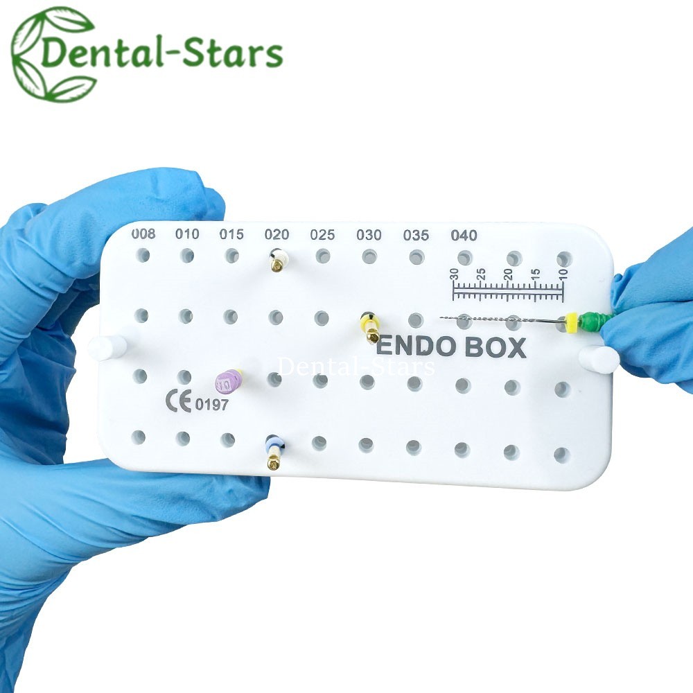 40Holes Dental Endo Box Files Bur Holder Disinfection Box w Mearsuring Ruler USA